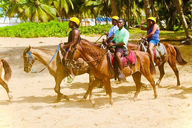 Horse Back Riding Adventure in Punta Cana - Getting from your hotel to the ranch without the stress