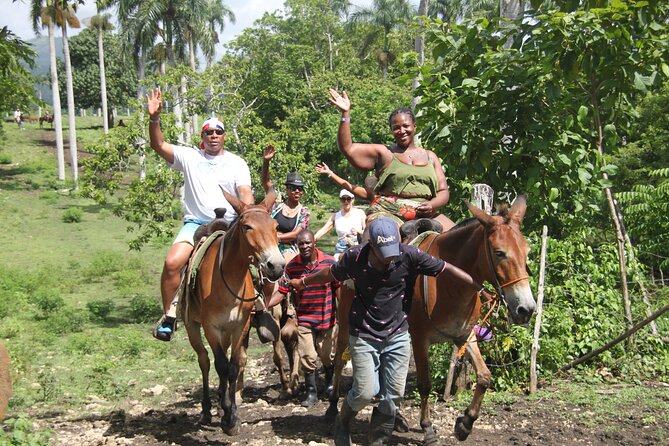 Horse back riding (Punta Cana/Bavaro) - Riding Through the Woods to Macao Beach