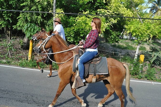 Horse Riding Experience through El Limon Beach - The horse + safety setup: head gear included, guide attention matters