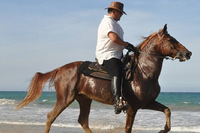 Horse Riding Experience through El Limon Beach - A beach finish at El Limón: why “secluded” is part of the value