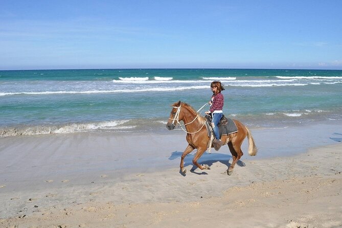 Horse Riding Experience through El Limon Beach - Price and value: is $150 per person worth it?