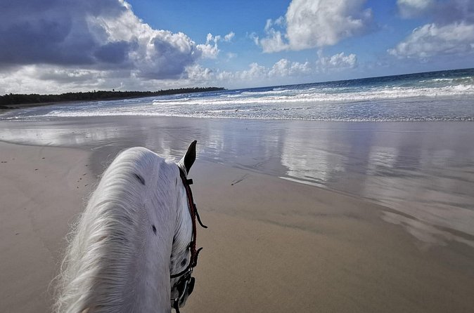 Horse Riding Experience through El Limon Beach - Weather matters: when you should plan around rain