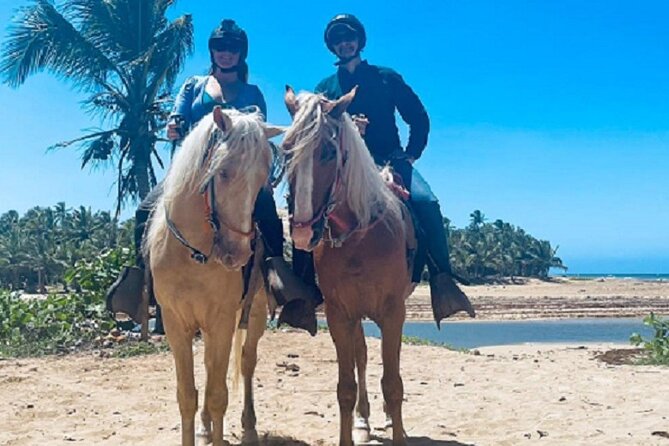 Horse Riding Experience through El Limon Beach - Starting from your hotel: pickup that keeps the day simple