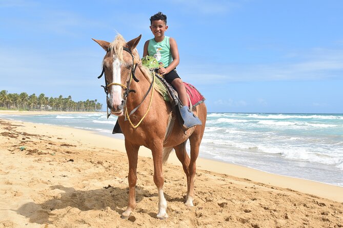 Horseback Riding Adventure Punta Cana - The rum bottle souvenir with your group photo: included, but understand the fine print