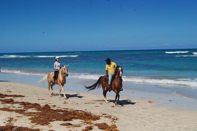 Horseback Riding Adventure Punta Cana - Photos: what you get, what costs extra, and how to budget like a pro