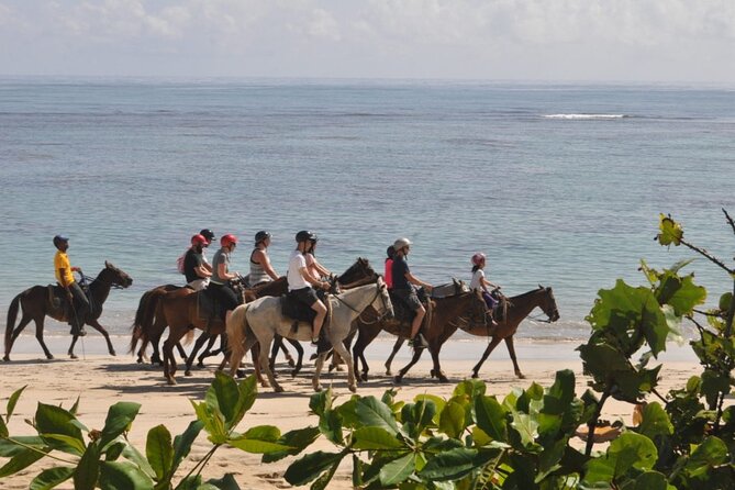 Horseback Riding Adventure Punta Cana - Pickup and timing from Punta Cana: how to make the day feel easy