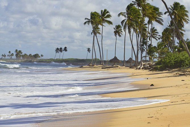 Horseback Riding Adventure Punta Cana - Wildlife and the quieter side of Punta Cana