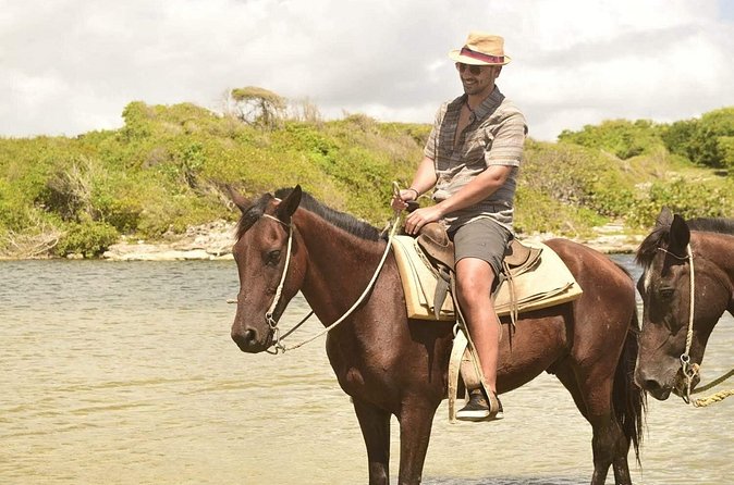 Horseback riding along Macao beach from Punta Cana - Riding along Macao Beach: the payoff and the reality check