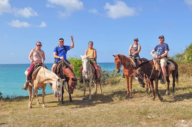 Horseback riding along Macao beach from Punta Cana - Pickup, mobile tickets, and the “don’t miss the message” rule