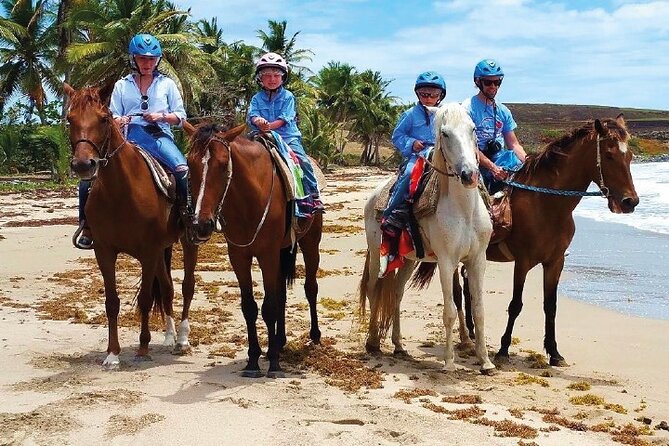 Horseback Riding along the Beach - Key Things to Know Before You Saddle Up