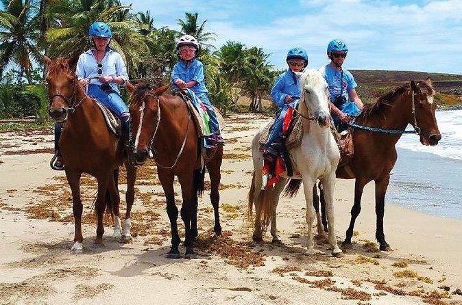 Horseback Riding along the Beach - Should You Book This Punta Cana Horseback Ride?