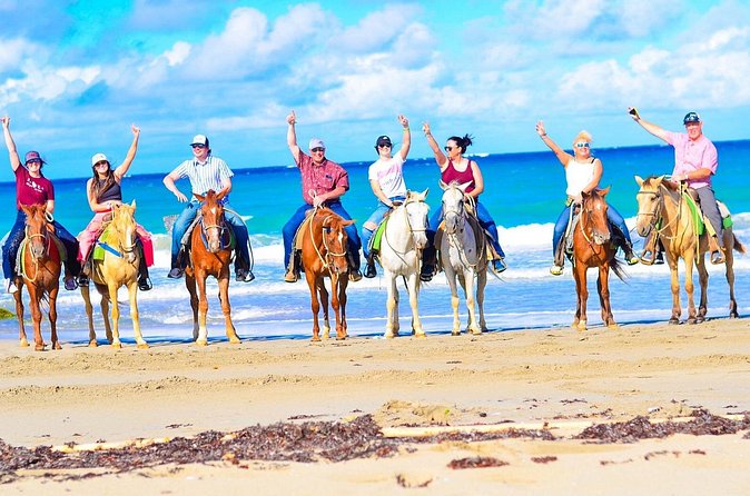 Horseback riding and ATV or Buggy with Party Boat with Lunch - The organic farm tastings: coffee, chocolate, and mamajuana 18+