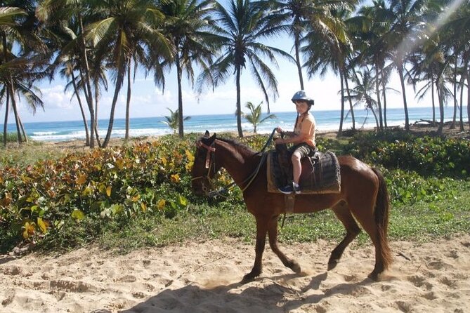 Horseback Riding at Macao Beach - Meet Patricio and Roberto: Why the Guide Names Keep Coming Up