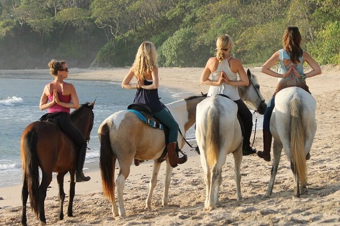 Horseback Riding at Macao Beach - Timing That Works: 2.5 Hours Now, Freedom Later