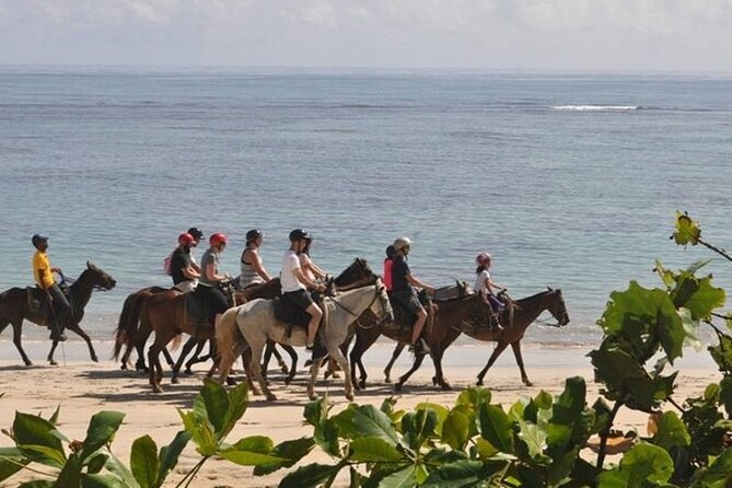 Horseback Riding at Macao Beach - Price and Value: What $69.99 Really Buys