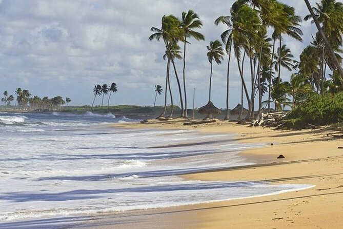 Horseback Riding at Macao Beach - Who Should Book This Horse Ride?