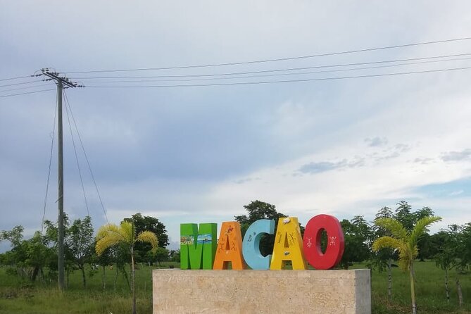 Horseback Riding at Macao Beach - Cigar and Mamajuana Tastings: Cultural Flavor Without a Lecture