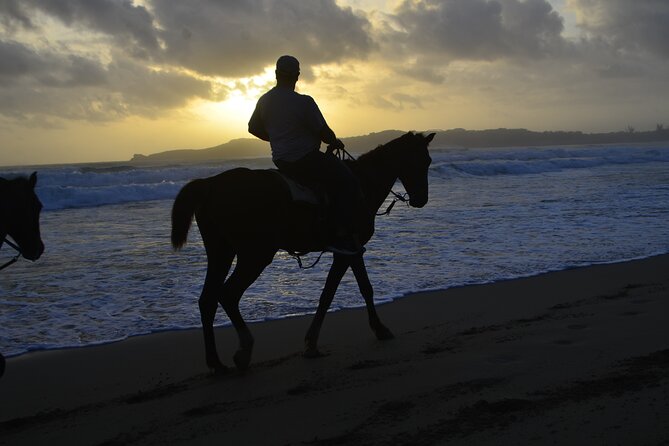 Horseback Riding at Sunrise on the Beach of Punta Cana - The Value Check: Is $83.19 Worth It in Punta Cana?