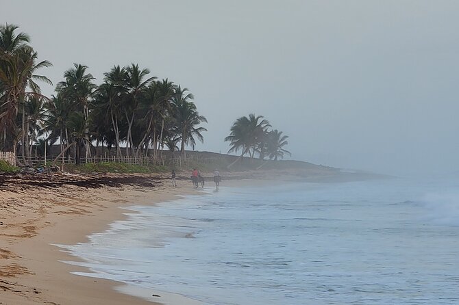 Horseback Riding at Sunrise on the Beach of Punta Cana - A Balanced Take on Service and Inclusions
