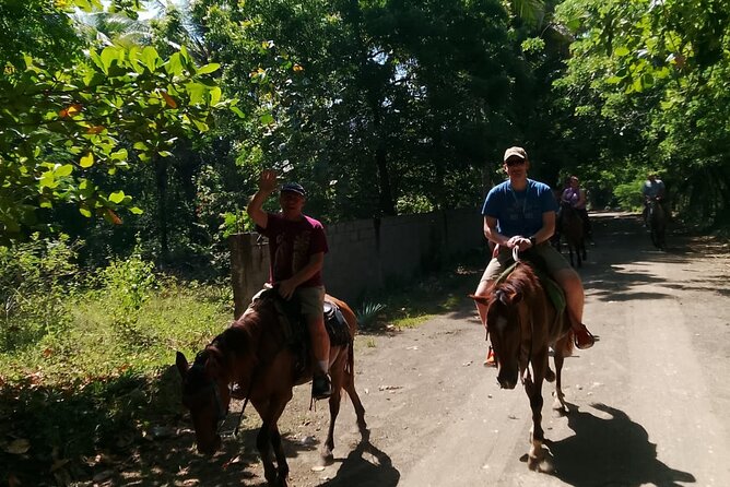 Horseback Riding in the Dominican Countryside from Puerto Plata - Getting There: 8:00am Pickup, Air-Conditioned Transport, and a Mobile Ticket