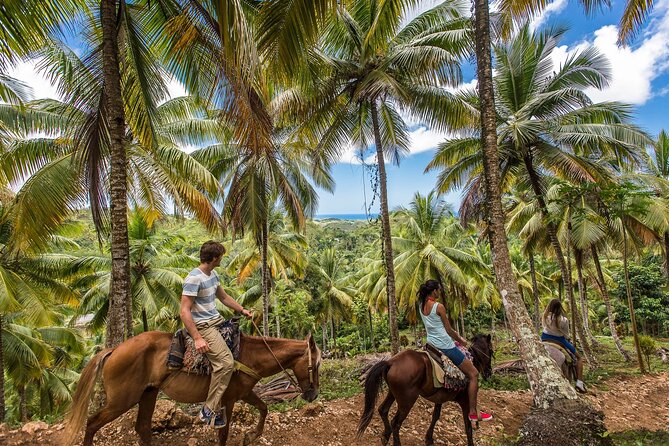 Horseback Riding in the Dominican Jungle - Horse-and-Island Combo from Punta Cana (and Why It Works)