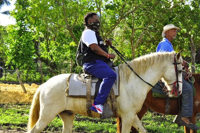 Horseback Riding in the Dominican Jungle - Guides, Drivers, and Photo Help (Names You Might Hear)