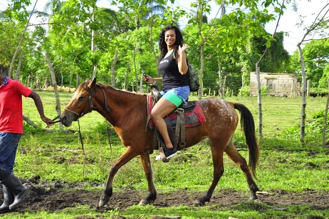 Horseback Riding in the Dominican Jungle - Pickup, Timing, and How to Reduce Risk