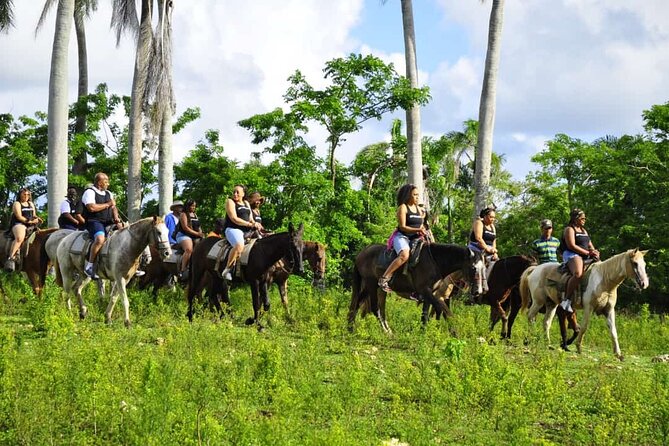 Horseback Riding in the Dominican Jungle - Who This Tour Fits Best (And Who Might Skip)