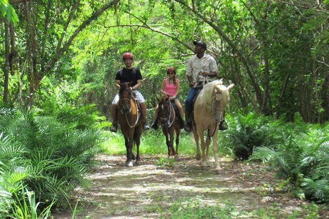 Horseback Riding on the Beach in Punta Cana (One Hour) - Entering the Forest, Then Rolling Out to Bavaro Beach