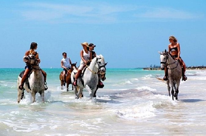 Horseback Riding on the Beach in Punta Cana (One Hour) - Safety and Comfort: Helmets, Horse Chair, and Staying at Ease