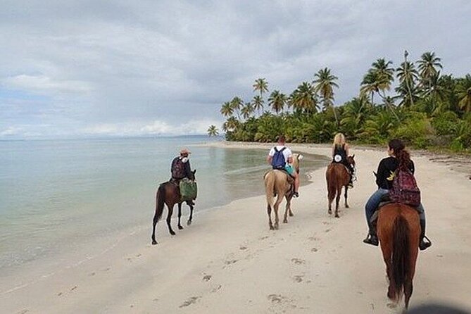 Horseback Riding on the Beaches of Punta Cana - Wildlife and nature time without getting stuck in a lecture