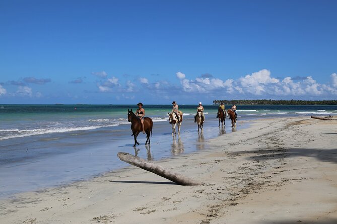 Horseback Riding on the Beaches of Punta Cana - Who this tour suits best in Punta Cana