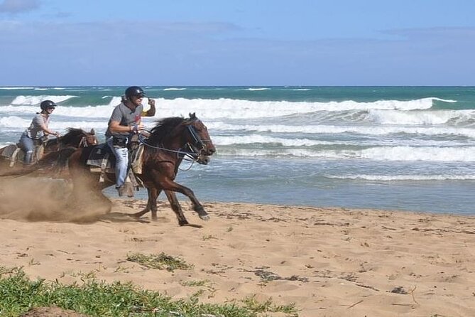 Horseback Riding to Maimon River from Punta Cana - How the tour usually runs in real life (3 hours, with transport)
