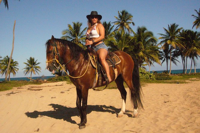 Horseback Riding Tour Adventure on the Beach - The coastline route: why the guide matters more than you think