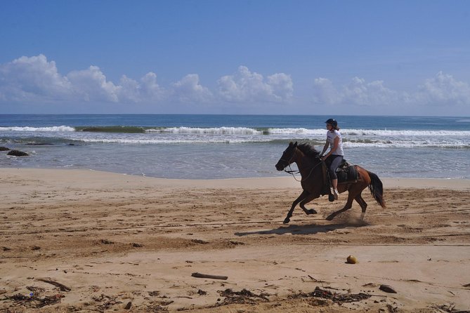 Horseback Riding Tour Adventure on the Beach - Horses and ranch life: what to expect behind the scenes