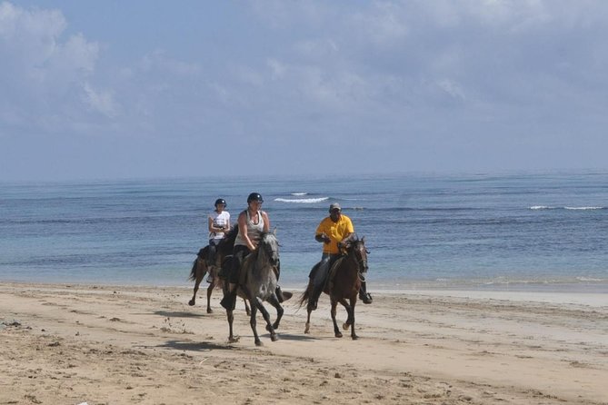 Horseback Riding Tour Adventure on the Beach - Guides make or break it: caring coaching in the saddle