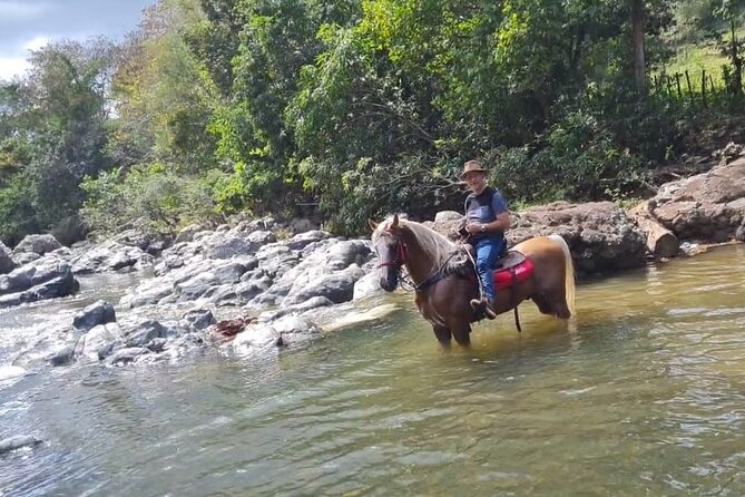 Horseback Riding tour near Santo Domingo with pick up and dropoff - Higuero is the shortcut to real countryside riding