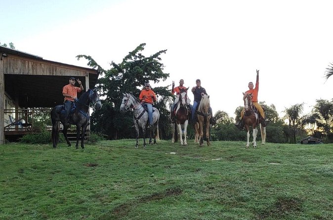 Horseback Riding tour near Santo Domingo with pick up and dropoff - Horses and ability matching: why “safe and customized” is a big deal