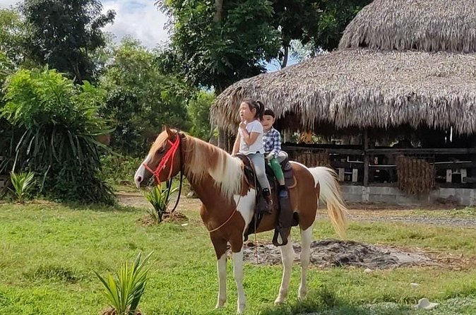 Horseback Riding tour near Santo Domingo with pick up and dropoff - What’s included for your $95: where the value really comes from