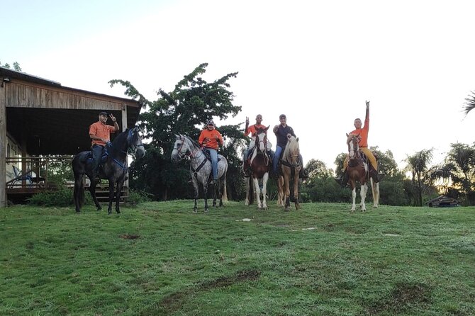 Horseback Riding tour near Santo Domingo with pick up and dropoff - Who this horseback ride near Santo Domingo fits best