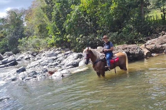 Horseback Riding tour near Santo Domingo with pick up and dropoff - Should you book this horseback tour near Higuero?