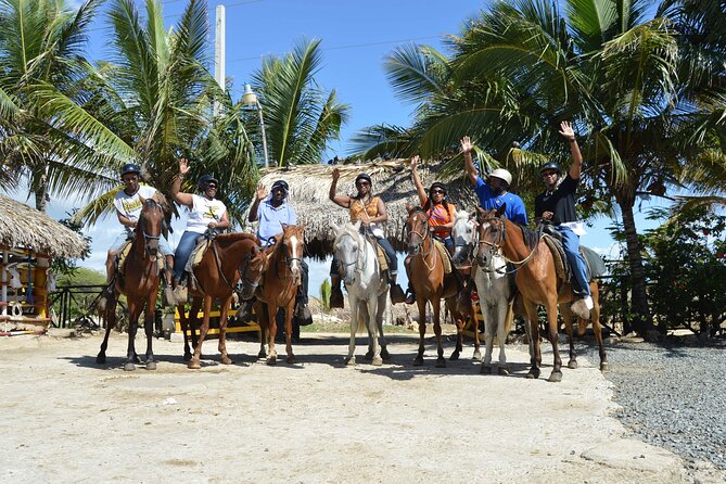 Horseback Riding Tour on the Beaches of Punta Cana - Price and Value: Why $54 Can Feel Like a Steal