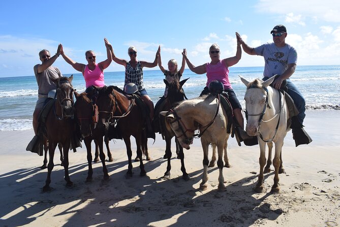 Horseback Riding Tour on the Beaches of Punta Cana - Weather, Comfort, and Communication: Read This Part Before You Go