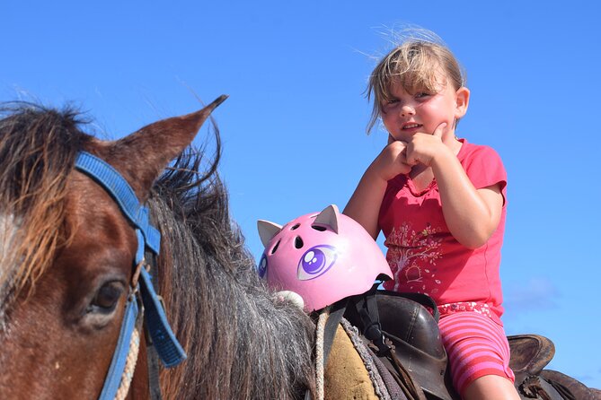 Horseback Riding Tour on the Beaches of Punta Cana - Should You Book This Punta Cana Beach Horseback Tour?