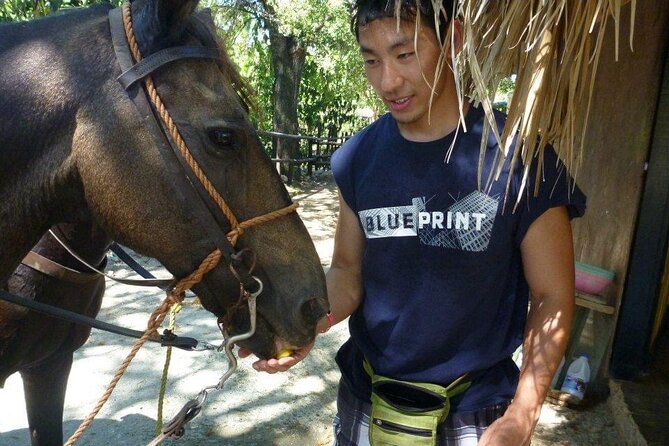 Horseback riding tours from amber cove & Taino bay port silver - Plantations, fields, and why that stop is more than a photo break