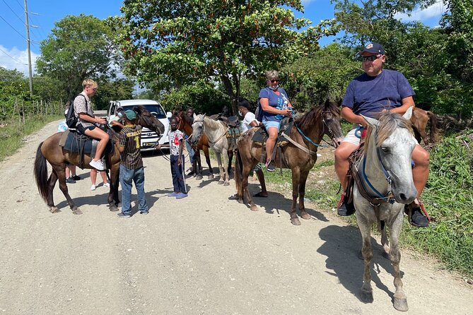Horseback riding tours from amber cove & Taino bay port silver - Horses and guides: where comfort and safety matter most