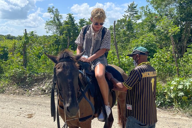 Horseback riding tours from amber cove & Taino bay port silver - Price and value: is $95 a good deal here?
