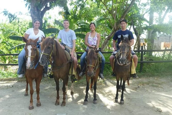 Horseback riding tours from amber cove & Taino bay port silver - Getting there from Amber Cove or Taino Bay: the practical advantage