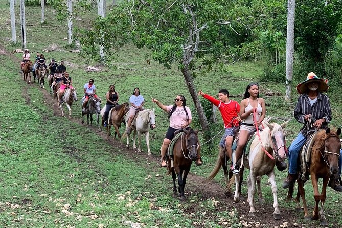 Horseback Riding with Pickup from Punta Cana - Key highlights at Rancho Papito
