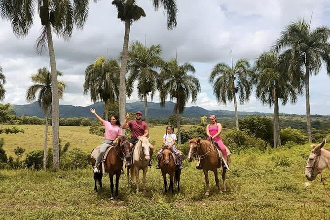 Horseback Riding with Pickup from Punta Cana - Price and value: is $65 worth a 2.5-hour ranch experience?